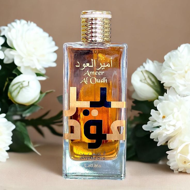 Ameer Al Oudh 2